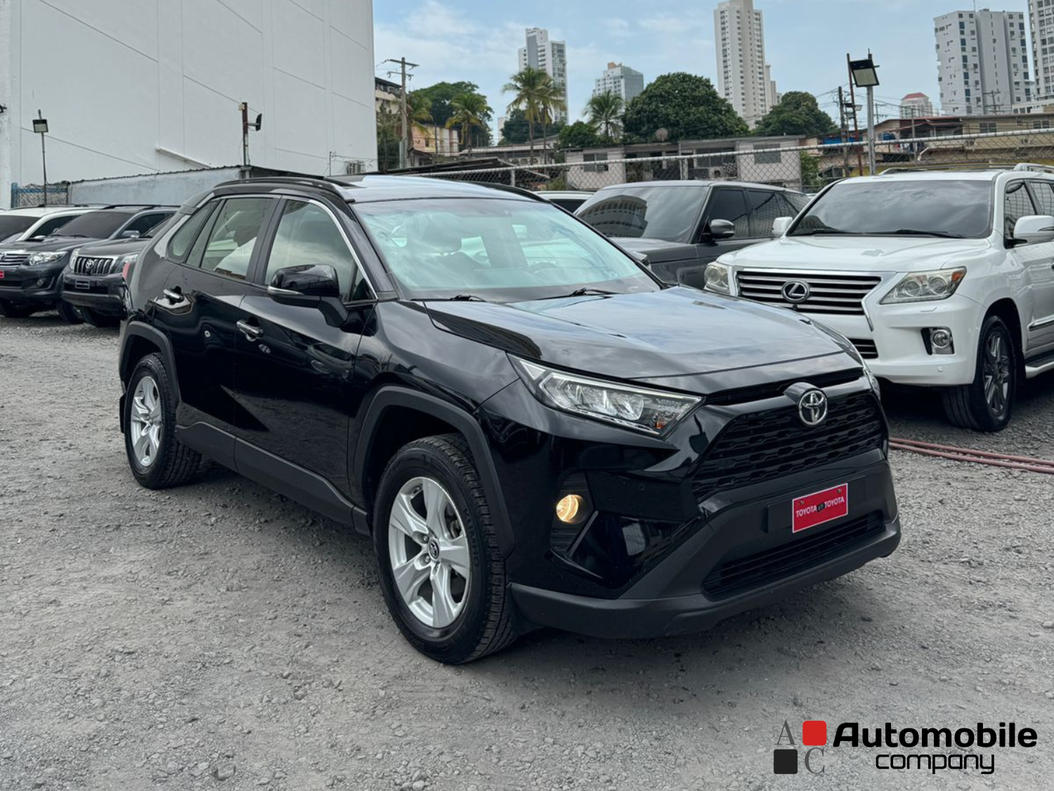TOYOTA RAV4 2019