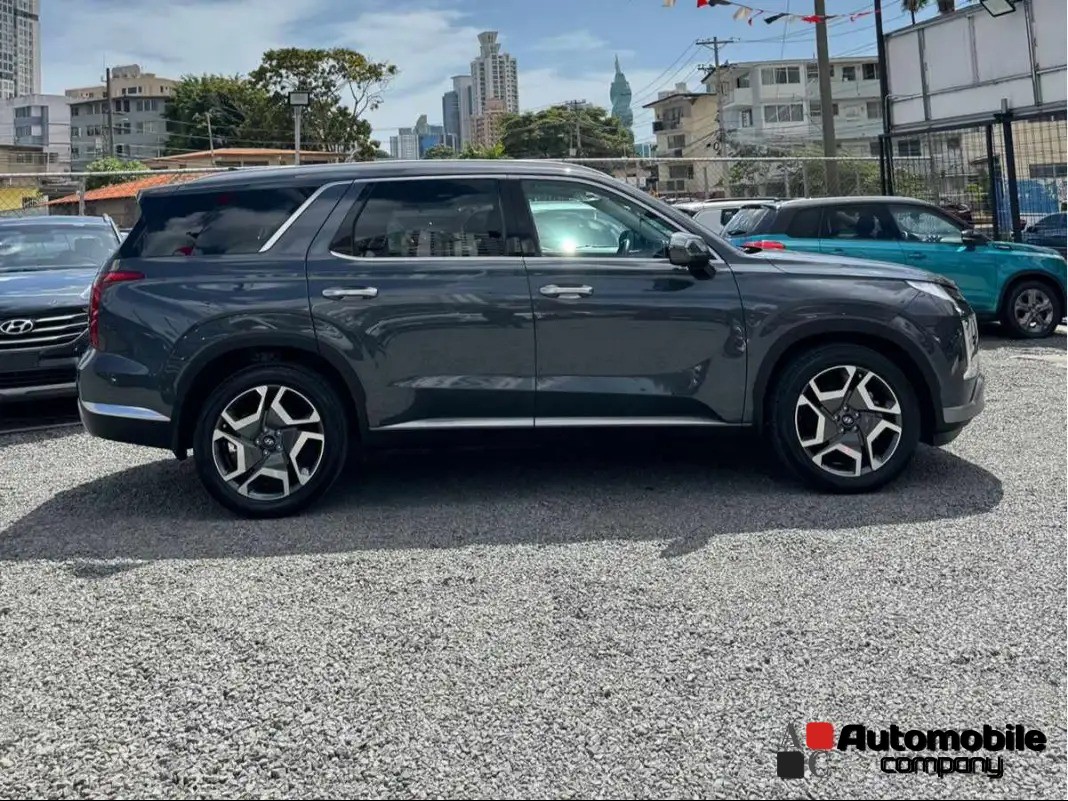 HYUNDAI PALISADE 2024