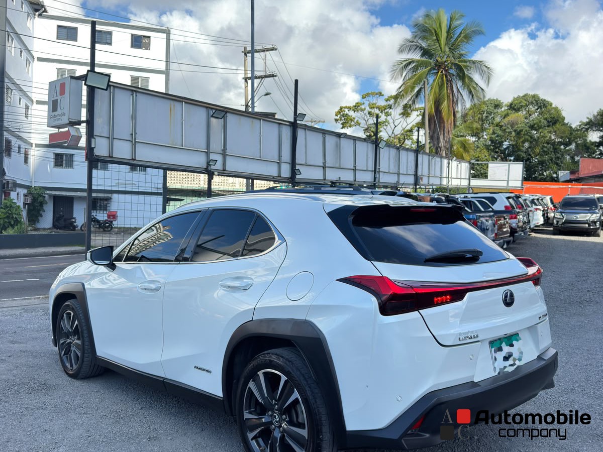 LEXUS UX250H 2020